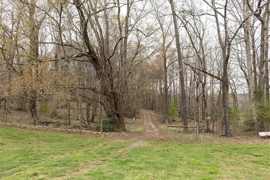 0 Reagan Road, Dawsonville, GA 30534 - #3