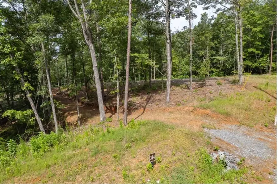 Lt 314 Pebble Trace, Talking Rock, GA 30175 - #3