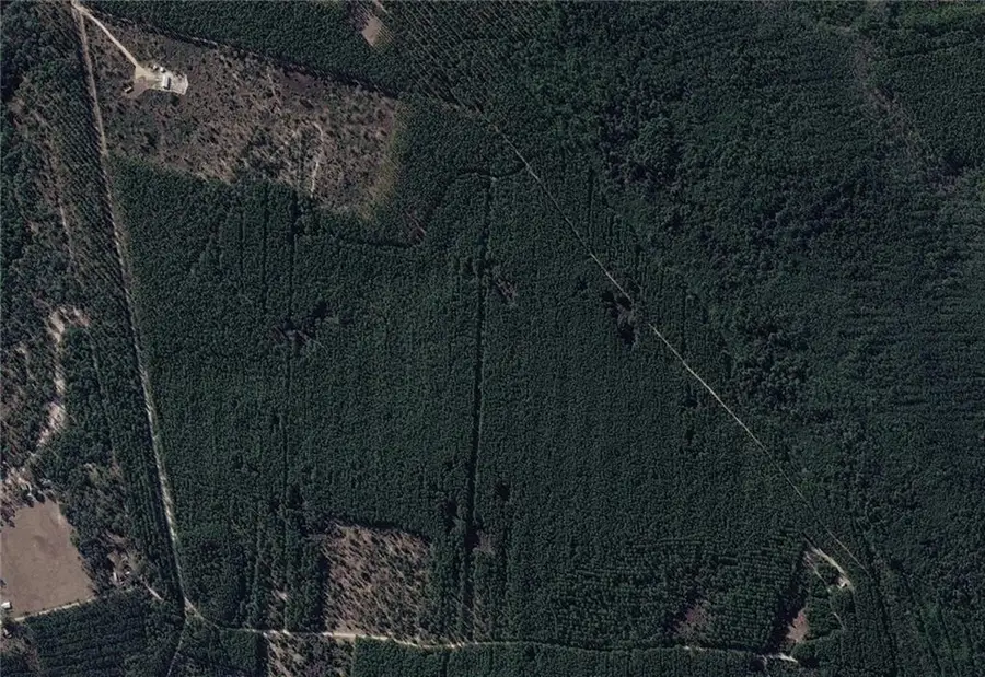 0 Long Ford, Jesup, GA 31546 - #3