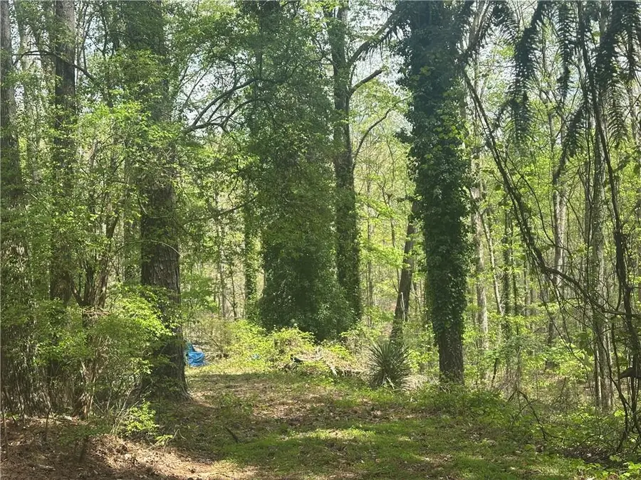 4194 Yancey Road, Douglasville, GA 30135 - #2