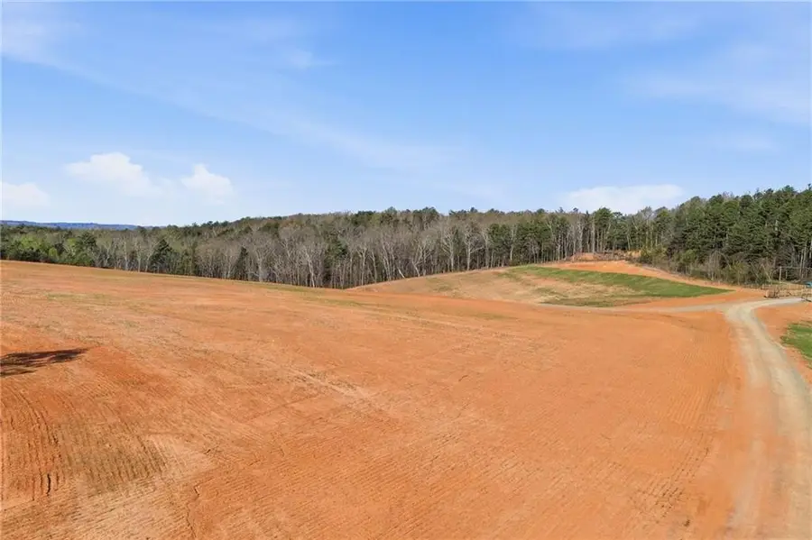 1927 Leeches Road, Ellijay, GA 30540 - #3