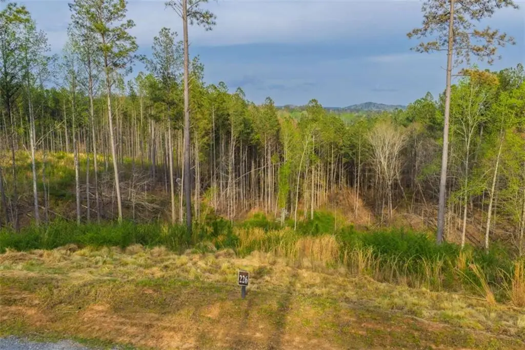 LT 226 West Vista Ridge Parkway, Talking Rock, GA 30175 - #1