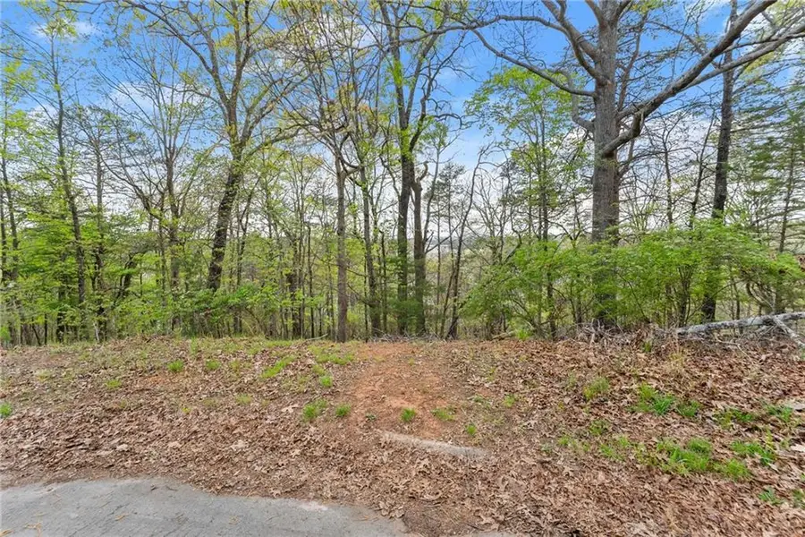 2517 Thompson Overlook, Gainesville, GA 30506 - #2