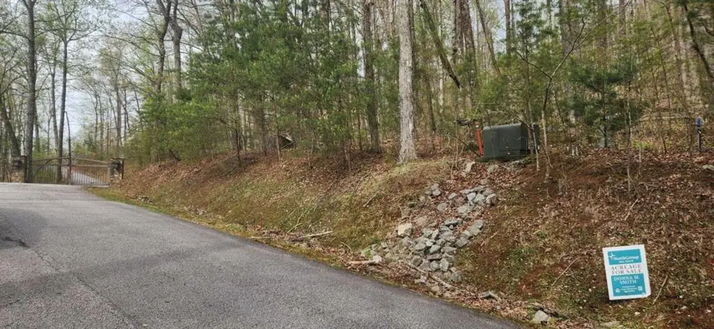 0 Yellow Trillium (lot 13), Clayton, GA 30525 - #1