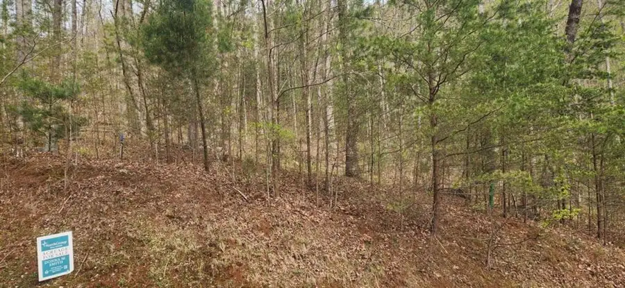 0 Yellow Trillium (lot 13), Clayton, GA 30525 - #2