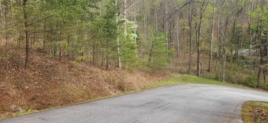0 Yellow Trillium (lot 13), Clayton, GA 30525 - #3
