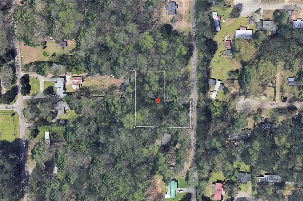 80 Reeves Road, Stockbridge, GA 30281 - #1