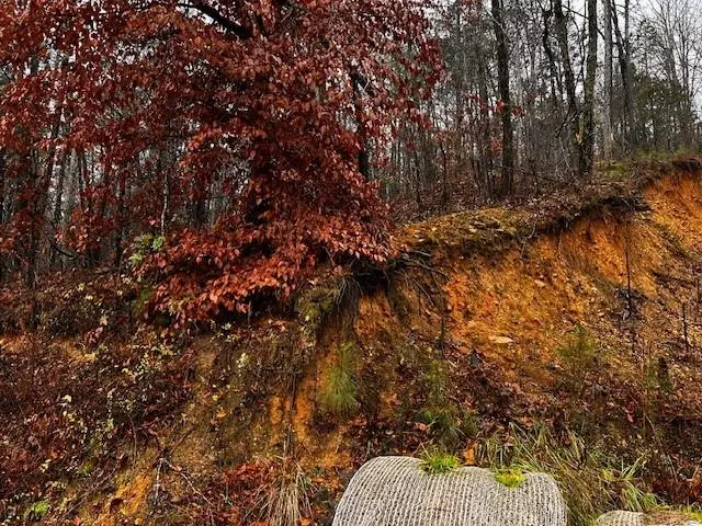 000 Talona Road, Talking Rock, GA 30175 - #3