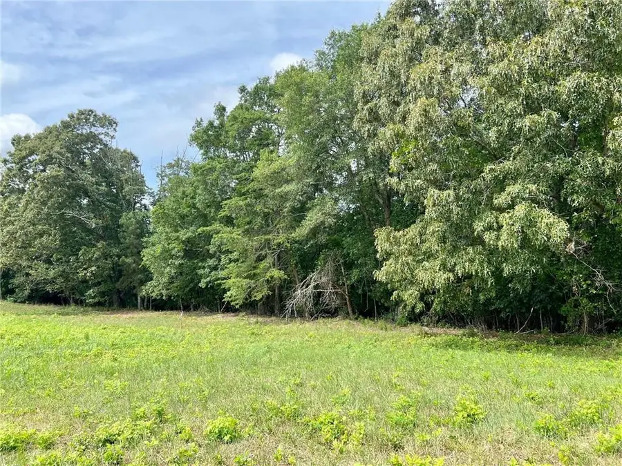 142 Daniel Ridge Sw, Cartersville, GA 30120 - #3