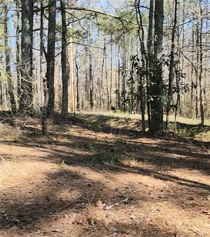 3274 Aaron Sosebee Road, Cumming, GA 30028 - #3