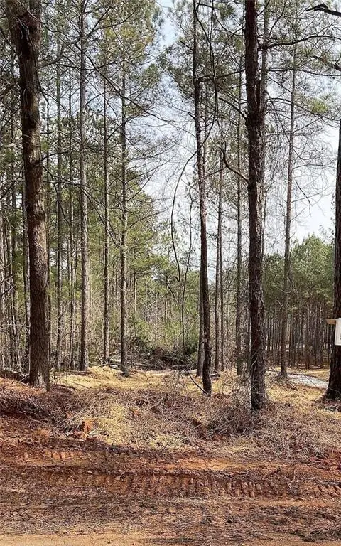LOT 4 Jaxon Path, Dallas, GA 30157