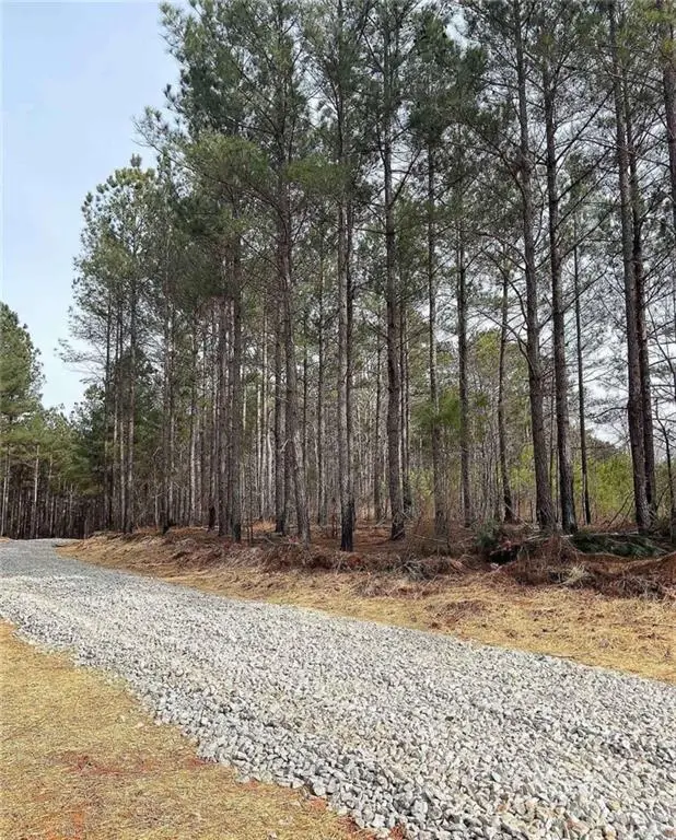 LOT 5 Jaxon Path, Dallas, GA 30157 - #3