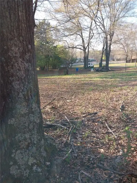 113 Miami Drive Se, Silver Creek, GA 30173 - #3