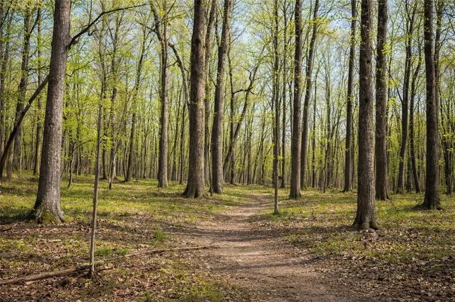 0 Burnt Mtn Cove Road, Jasper, GA 30143 - #3