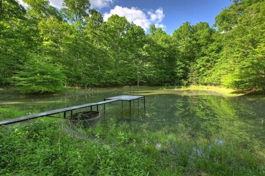 8.52 Ac Mcnelley Road, Morganton, GA 30560 - #3