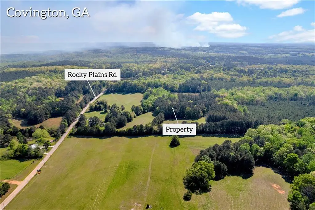 1025 Rocky Plains Road, Covington, GA 30016 - #1