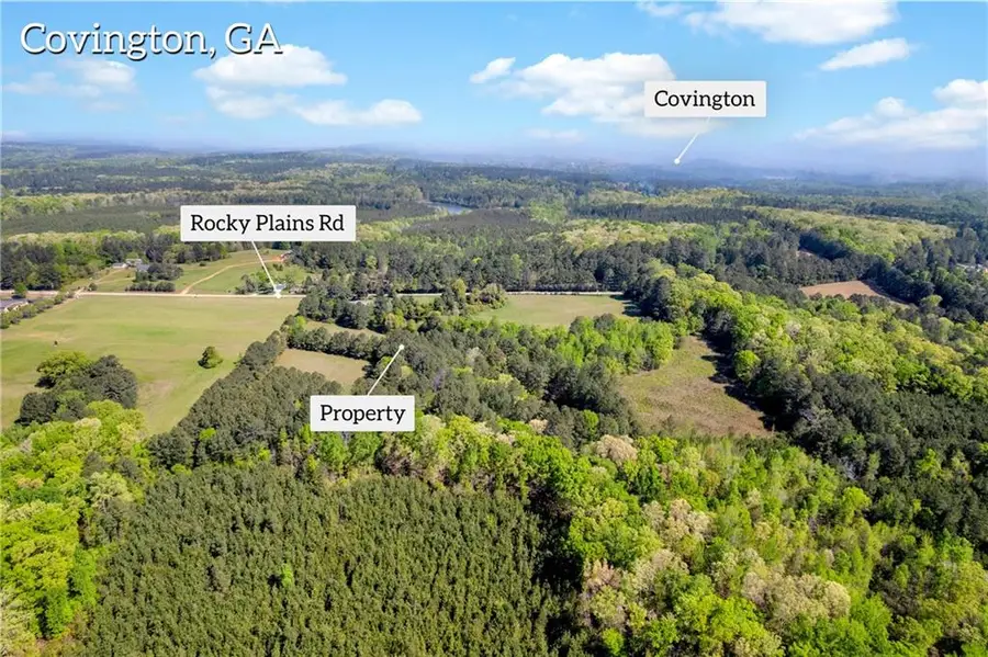 1025 Rocky Plains Road, Covington, GA 30016 - #3