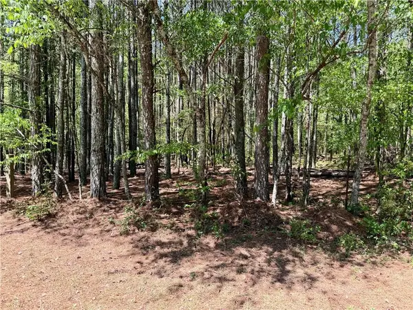 0 Haw Creek Drive, Cumming, GA 30041