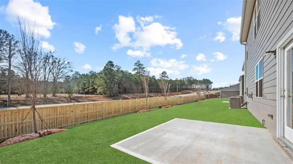 66 White Spruce Way, Newnan, GA 30265 - #1