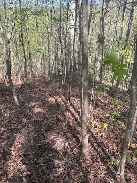 0 Heatherwood Way, Talking Rock, GA 30175 - #2