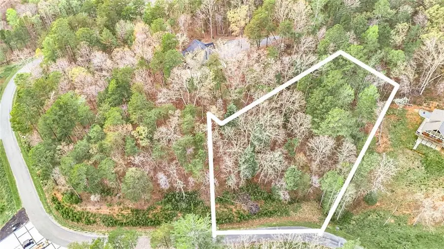 102 Overlook Way, Ellijay, GA 30540 - #3