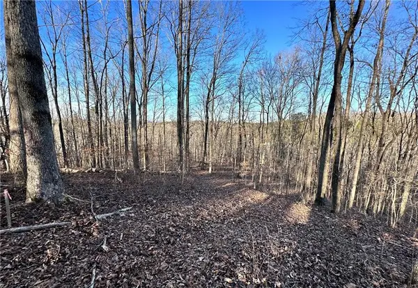 8555 Woodland Brooke Trail, Cumming, GA 30028