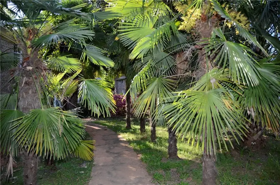 4247 Bingham Court, Stone Mountain, GA 30083 - #2