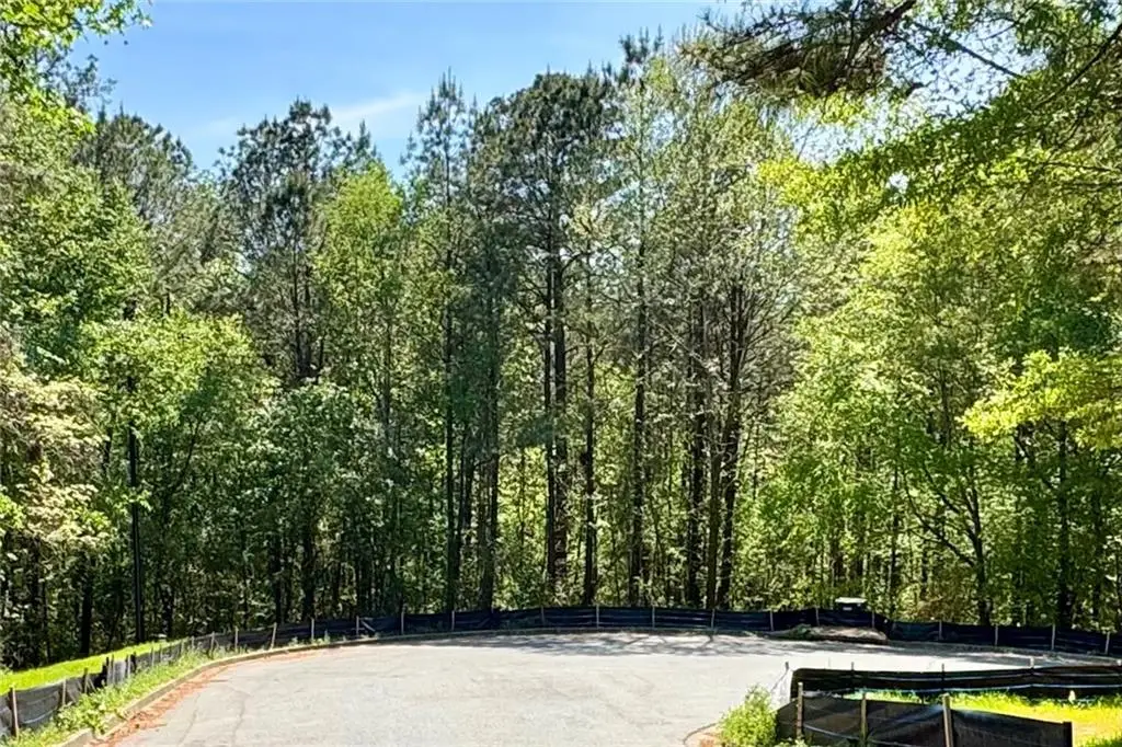 145 Constitution Pointe, Dallas, GA 30132 - #1