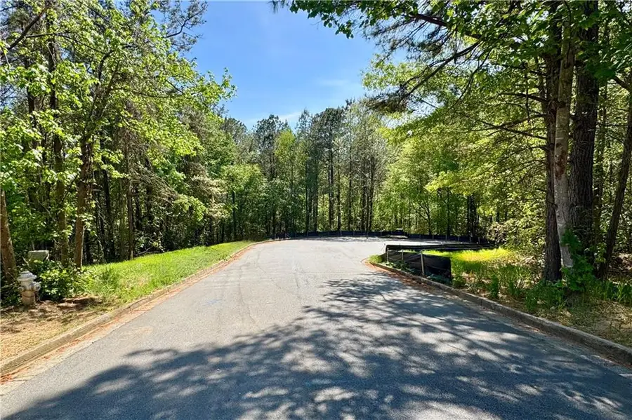 145 Constitution Pointe, Dallas, GA 30132 - #2