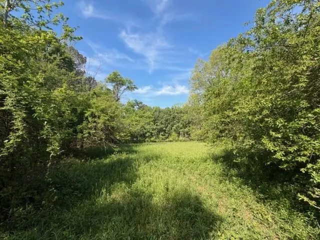 811 Ammons Road, Waleska, GA 30183 - #1