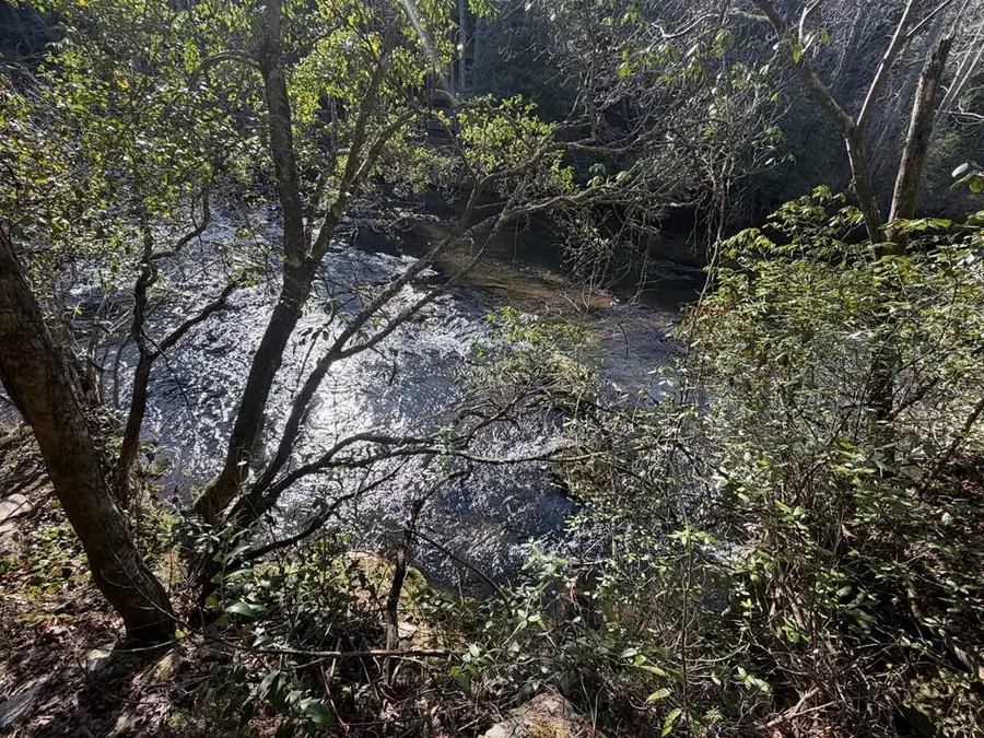 0 Frogtown Place, Dahlonega, GA 30533 - #2