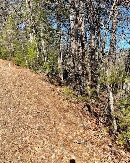 0 Rosen Strasse, Helen, GA 30545 - #3