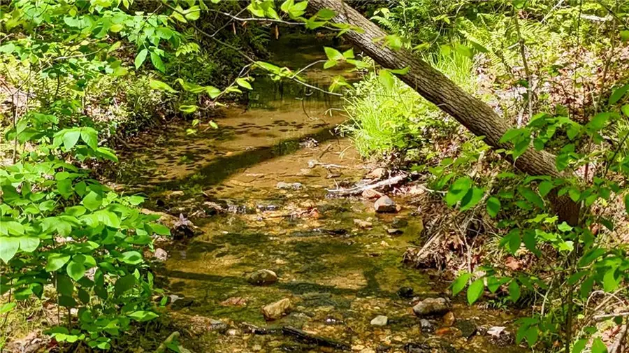 x Kelly Bridge Road, Dawsonville, GA 30534 - #2