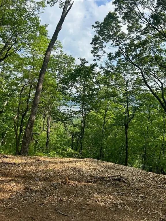 324 Adair Drive, Ranger, GA 30734