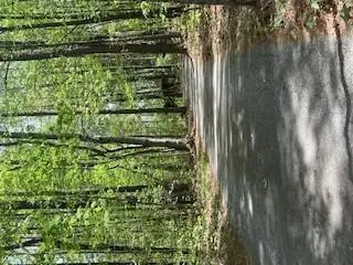 1301 Bob Hunton Road, Douglasville, GA 30134 - #2