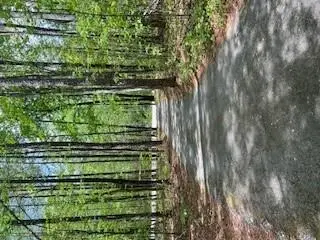 1301 Bob Hunton Road, Douglasville, GA 30134 - #3