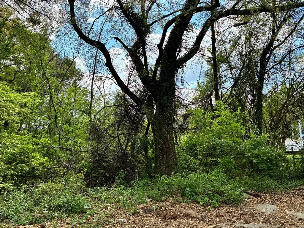 420 Pickfair Avenue Sw, Atlanta, GA 30315 - #1