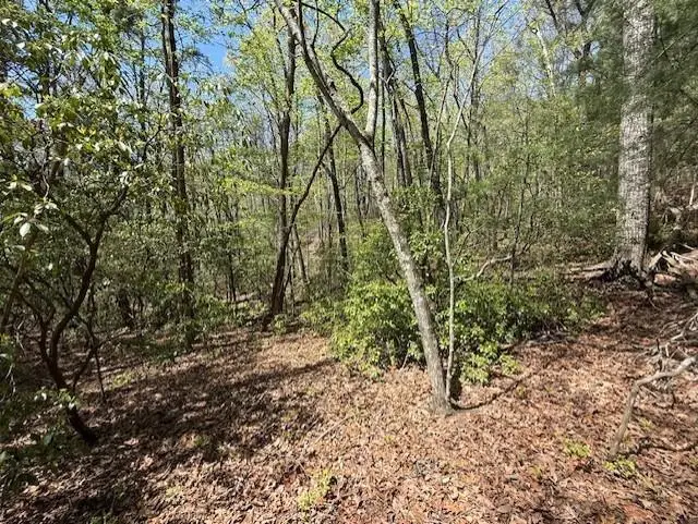 Lot 9 Marjorie Ave, Ellijay, GA 30536 - #3