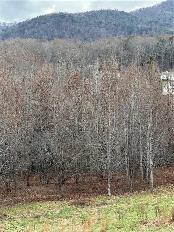 0 Hwy 75 Alt Ga, Cleveland, GA 30528 - #2