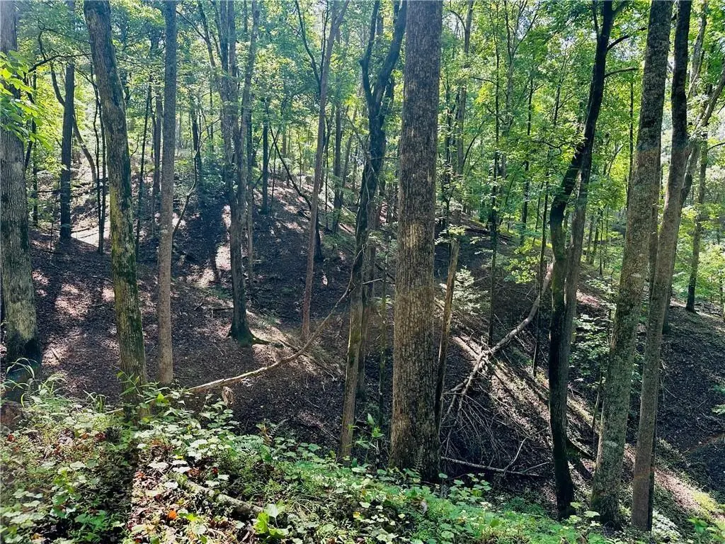 7.123 Acres Halls Mill Road, Dahlonega, GA 30533 - #1