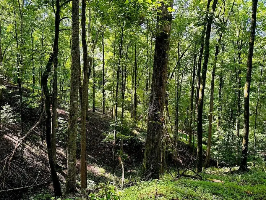 7.123 Acres Halls Mill Road, Dahlonega, GA 30533 - #2