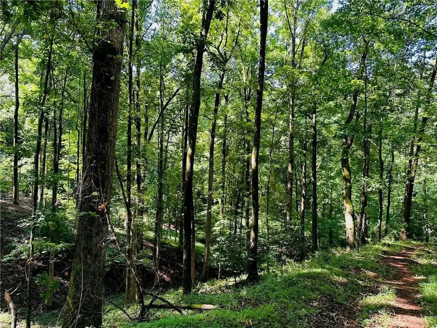 7.123 Acres Halls Mill Road, Dahlonega, GA 30533 - #3