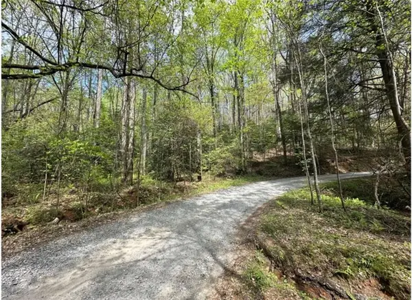 LOT 20 Big Ben Road, Ellijay, GA 30540