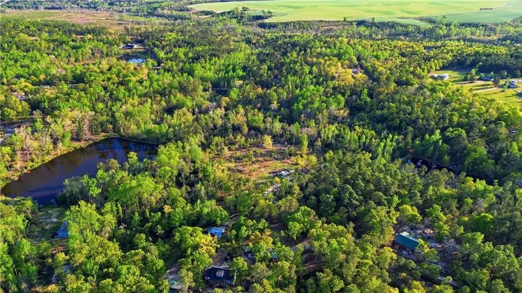 2078 Mims Road, Hephzibah, GA 30815 - #1