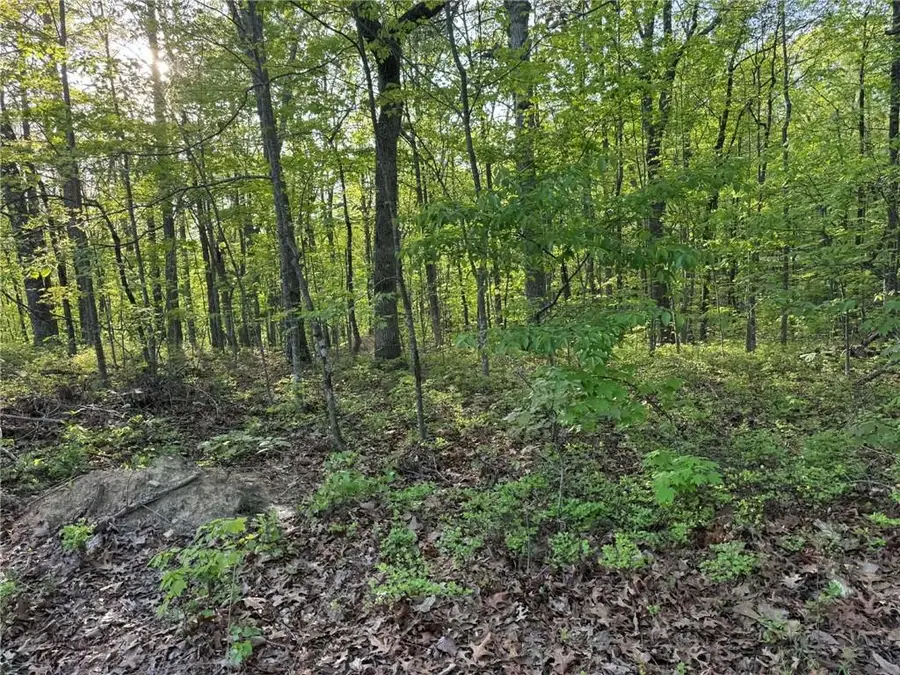 1440 Hanna Drive, Ranger, GA 30734 - #2