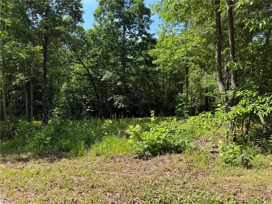20 ac Ellijay Road, Talking Rock, GA 30175 - #2