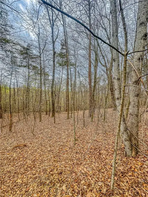 0 Green Meadows, Dahlonega, GA 30533 - #1