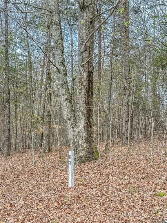 0 Green Meadows, Dahlonega, GA 30533 - #2