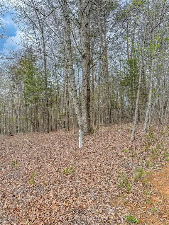 0 Green Meadows, Dahlonega, GA 30533 - #3