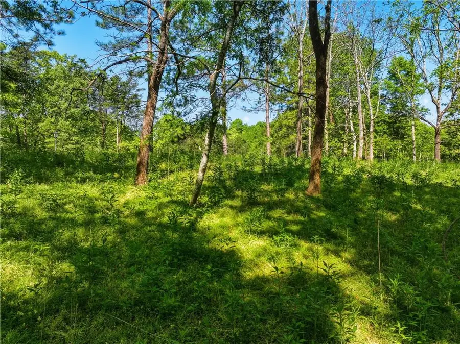 Lot 3 Summit Drive, Dahlonega, GA 30533 - #2